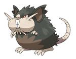  alolan_raticate claws commentary full_body highres no_humans official_art plump pokemon pokemon_(creature) puffy_cheeks raticate red_eyes simple_background solo standing teeth white_background 