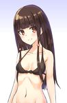  amagi_brilliant_park bad_id bad_pixiv_id bottomless bra breasts brown_eyes brown_hair hexun6 highres koborii_(amaburi) long_hair navel out-of-frame_censoring small_breasts smile solo underwear upper_body 