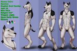  2012 4_toes abs anthro athletic bigmaster black_nose blue_background bull_terrier cairo_(bigmaster) canine claws collaboration color_swatch dice digital_media_(artwork) digitigrade dog english_text featureless_crotch fengzhou green_eyes hi_res jakthedrox looking_at_viewer male mammal model_sheet nipples nude pendant simple_background solo standing text toe_claws toes watermark 