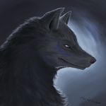  ambiguous_gender black_lips canine feral fur gradient_background grey_fur grey_nose mammal simple_background solo themefinland white_eyes wolf 
