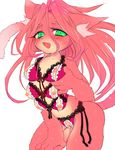  artist_request bikini breasts cat furry green_eyes multiple_nipples nipples pussy red_hair 