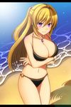  bangs beach bikini black_bikini blonde_hair blush bracelet breasts cleavage crossed_arms day gem hair_between_eyes half_updo highres hizuki_rei jewelry large_breasts letterboxed long_hair looking_at_viewer md5_mismatch navel necklace o-ring o-ring_bikini ocean original purple_eyes shade shiny shiny_skin smile solo standing swimsuit teeth thighs tree_shade 