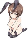  alternate_costume animal_ears areola_slip areolae bikini black_legwear breasts brown_eyes brown_hair bunny_ears bunny_tail collarbone covered_nipples from_above girls_und_panzer hair_between_eyes hand_on_legs hibimegane highleg highleg_bikini highres medium_breasts micro_bikini nishizumi_maho seiza sitting solo swimsuit tail thighhighs white_bikini 