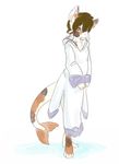  2016 backgroundfour_toes blue_eyes bottomless brown_hair cainethelongshot canine clothed clothing cute fish fluffy fox fur hair hood hoodie hybrid koi long_sleeves looking_at_viewer male mammal marine markings meirou multicolored_fur robes short_hair simple_background smile solo standing white_fur young 
