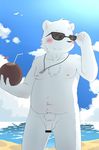  balls beach bear blush censored chest_tuft cloud coconut cub dog_tags eyewear flaccid food fruit fur humanoid_penis jewelry male mammal navel necklace nipples overweight penis polar_bear pubes seaside sky solo standing sunglasses tuft water white_fur young 萌の傻蛋熊 