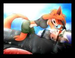  aircraft airplane anthro canine fox gonein10seconds mammal redpanda riley sylvia wash 