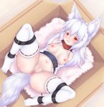  2019 animal_humanoid anus blush bound breasts butt canid canid_humanoid canine canine_humanoid cardboard_box clothed clothing female fluffy fluffy_tail fur hair humanoid legwear lying mammal nipples open_mouth partially_clothed pussy red_eyes small_breasts syrup_(artist) thigh_highs white_fur white_hair young 
