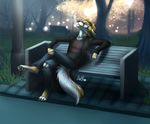  anthro canine cigarette clothed clothing male mammal nelly63 outside sitting smoke solo 