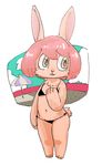  bikini brown_eyes furry pink_hair rabbit sasamino short_hair swimsuit 