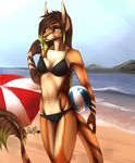  anthro armpits ball beach beach_ball bikini clothing feline female mammal navel nelly63 outside seaside solo standing swimsuit 