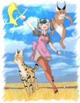  &gt;_&lt; 2girls :3 :d :o animalization apron blue_shirt blush_stickers brown_hair brown_shirt caracal caracal_(kemono_friends) commentary_request day eyes_closed field flag full_body grass green_hair grey_hair hair_over_face hat_feather helmet highres jumping kemono_friends kyururu_(kemono_friends) multiple_girls notora open_mouth pink_apron pith_helmet red_footwear red_legwear scarf serval serval_(kemono_friends) shirt short_sleeves skirt smile spot-billed_duck_(kemono_friends) stuck whistle white_scarf white_skirt wristband 