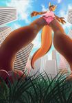  anthro balls black_hair blonde_hair blue_eyes building bulge city clothed clothing cloud crossdressing detailed_background girly grass hair kangaroo lens_flare low-angle_view macro male mammal marsupial pawpads ratatula sky smile solo_focus underwear worm&#039;s-eye_view 