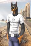  anthro beach canine doberman dog eyewear glasses looking_at_viewer male mammal nelly63 outside seaside smile solo standing 