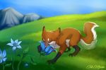  ambiguous_gender canine day detailed detailed_background eyelashes eyes_closed feral flower fox fur grass mammal orange_fur outside plant sky smelling solo standing tril-mizzrim white_fur 