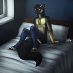  anthro bed canine clothing inside legwear looking_at_viewer male mammal nelly63 sitting smile solo striped_legwear stripes thigh_highs 