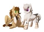  alpha_channel brown_hair duo equine eyelashes fan_character feathered_wings feathers feral fur green_eyes hair hooves mammal my_little_pony nude pegasus purple_eyes simple_background smile tan_feathers tan_fur transparent_background tril-mizzrim white_hair wings 