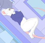  anthro bed bottomless clothed clothing female looking_at_viewer lying mammal mouse pillow red_eyes rheumatism rodent smile solo 