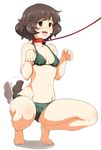  afterimage akiyama_yukari bare_arms bare_legs bare_shoulders barefoot bikini blush breasts brown_eyes brown_hair cleavage collar collarbone dog_collar dog_lead dog_tail empty_eyes eyebrows eyebrows_visible_through_hair feet full_body girls_und_panzer green_bikini hatakenaka_(kamagabuchi) kemonomimi_mode leash legs_apart motion_lines navel open_mouth paw_pose pet_play red_collar simple_background small_breasts smile solo squatting swimsuit tail tail_wagging tongue tongue_out white_background 