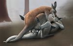  2016 anal anal_penetration anatomically_correct anatomically_correct_penis balls emptyset eyes_closed feral feral_on_feral kangaroo kissing legs_up lying male male/male mammal marsupial on_back penetration penis spread_legs spreading 