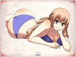  1girl ass atelier_(series) atelier_ayesha bikini breast_press breasts brown_eyes brown_hair cleavage dimples_of_venus large_breasts layerth long_hair looking_at_viewer lying on_stomach smile solo wilbell_voll=erslied 