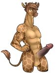  anthro balls collar erection giraffe infected-ellis male mammal penis solo whitney_(vader120) 