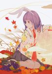  animal_ears autumn autumn_leaves bangs bare_legs black_skirt blunt_bangs blush bunny_ears closed_mouth collared_shirt falling_leaves floral_print food fruit ginkgo_leaf grapes high_heels highres jq leaf long_sleeves looking_to_the_side mandarin_orange necktie no_legwear no_socks pink_lips red_neckwear reisen_udongein_inaba shirt sitting skirt solo touhou white_shirt wide_sleeves wing_collar yokozuwari 