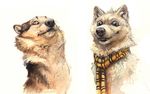  ambiguous_gender black_nose blue_eyes canine duo feral fur grey_fur kenket looking_at_viewer mammal multicolored_fur scarf signature simple_background smile soul_devouring_eyes stare teeth traditional_media_(artwork) whiskers white_background white_fur wolf yellow_eyes 