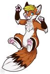 2015 4_fingers 4_toes alpha_channel anthro big_tail black_markings blonde_hair blue_eyes brown_fur canine cute digital_media_(artwork) dipstick_tail facial_markings featureless_crotch fingerless_(marking) fluffy fluffy_tail fox foxeh front_view fur gloves_(marking) hair hi_res looking_at_viewer male mammal markings multicolored_fur multicolored_tail muzz naturally_censored nude open_mouth orange_fur pawpads paws pink_nose pink_pawpads pink_tongue simple_background smile socks_(marking) soles solo teeth toes tongue transparent_background watermark white_fur 