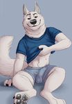  2016 anthro bulge canine clothing disney fur gary_(zootopia) male mammal marjani simple_background smile white_fur wolf zootopia 