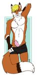  2015 anthro armpits blonde_hair blue_eyes boxers_(clothing) brown_fur canine clothed clothing digital_media_(artwork) dipstick_tail erection flashing fluffy fluffy_tail fox foxeh front_view fur hair hand_behind_head hi_res humanoid_penis long_tail male mammal multicolored_fur multicolored_tail orange_fur penis pink_nose pink_penis poking_out raised_eyebrow ririri signature simple_background smile smirk solo standing topless underwear underwear_pull white_fur 
