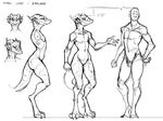  anthro armpits butt dragon female guoh human karchan male mammal monochrome nude pussy scalie simple_background sketch standing 