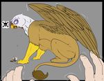  angry avian backlash91 bird cat conditional_dnp crossbones feline friendship_is_magic gilda_(mlp) gryphon human invalid_tag lion mammal my_little_pony skull spilled_coffee 