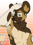  2016 african_wild_dog anthro armpits brown_fur canine cherushi ear_piercing fur green_eyes grin hair looking_at_viewer male mammal piercing reverie standing tan_fur white_fur 