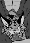  2016 anthro big_breasts breasts erection feline fellatio female lizard lynx male mammal miyu_lynx nintendo nude oral penetration penis reptile s-nina scalie sex star_fox video_games 