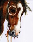  2009 ambiguous_gender bridle brown_eyes brown_fur equine eye_markings feathers feral fur headshot_portrait hi_res horse mammal markings multicolored_fur nicorobin painting_(artwork) photorealism portrait simple_background solo traditional_media_(artwork) two_tone_fur white_background white_fur 