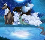  anthro black_fur brown_fur canine curved_horn dog eyes_closed female feral fingers fluffy fluffy_tail fur green_eyes group horn lying mammal moon multi_tail muramuri night nude outside pond purple_skin sitting sky smile star starry_sky water 