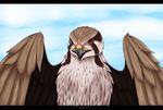  ambiguous_gender avian beak bird black_beak brown_feathers dark_guardian_corporation day feathered_wings feathers feral outside red_eyes sky solo tan_feathers white_feathers wings 