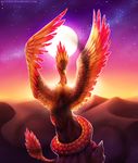  avian beak bird detailed_background dunes feathered_wings feathers feral moon neytirix orange_feathers phoenix red_eyes red_feathers sky solo star starry_sky wings yellow_beak 