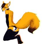  alpha_channel anthro arm_warmers bardju canine clothing collar fox kneeling legwear looking_at_viewer male mammal rubber simple_background solo thigh_highs transparent_background underwear 