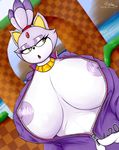  anthro areola big_breasts blaze_the_cat breasts clothing eyelashes feline female mammal nipples open_mouth quin-nsfw solo sonic_(series) yellow_eyes zipper 