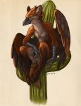  2019 anthro avian beak bird black_beak black_fur brown_feathers brown_fur cactus canid canine caribou_(artist) digital_media_(artwork) feathered_wings feathers fur green_eyes gryphon male mammal maned_wolf nude paws roadrunner sitting solo white_fur wings 