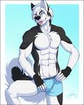  2016 abs anthro blue_eyes canine chest_tuft clothing dog feralise fur hair husky male mammal muscular navel pose solo tongue tongue_out tuft underwear 