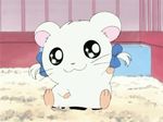  animated animated_gif bijou hamtaro ribbon source_request tagme 