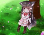  against_tree animal_ears black_hair blush boots bow breasts dog_ears dress flower from_above grass hair_ornament highres knees_to_chest large_breasts leg_hug long_hair looking_up miktama original outdoors petals purple_eyes sidelocks sitting solo striped striped_legwear tail thighhighs tree 