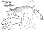  2012 all_fours ambiguous_gender anthro anthro_on_feral bestiality canine dog dragon duo eyes_closed feral from_behind_position interspecies kneeling lizard male mammal nude prismara reptile scalie sex wolf 