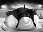  ambiguous_gender cetacean greyscale mammal marine meanybeany monochrome orca overweight water whale 
