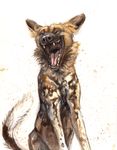  2016 african_wild_dog ambiguous_gender black_fur black_lips black_nose brown_body brown_fur brown_spots canine detailed digitigrade dipstick_tail ears_back eyes_closed fangs feral front_view fur half-length_portrait hi_res kenket long_mouth mammal mouth_shot multicolored_tail open_mouth painting_(artwork) pink_tongue portrait simple_background smile snout solo spots spotted_fur tan_fur teeth tongue traditional_media_(artwork) whiskers white_background white_fur white_spots yawn 