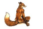  2015 absurd_res ambiguous_gender anthro black_claws black_nose brown_fur butt canine claws fluffy fluffy_tail fox fur grey_eyes hi_res humanoid_hands inner_ear_fluff kenket long_mouth looking_back mammal no_sclera nude orange_fur simple_background sitting sketch smile snout solo white_background white_fur 