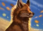  2019 ambiguous_gender black_nose canid canine day detailed_background digital_media_(artwork) eyes_closed feral flashw fox mammal outside red_fox sky smile solo warm_colors 
