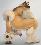  adios backsack balls butt canine clothing feet flaccid fundoshi humanoid_penis japanese_clothing looking_at_viewer male mammal penis plantigrade pubes slightly_chubby soles solo underwear vein veiny_penis white_balls 